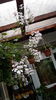 20160508_142229