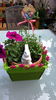 20160508_095550