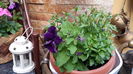 20160508_095519