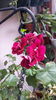 20160508_095156