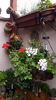 20160508_095133