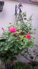 20160508_095123