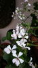 20160508_095103