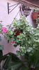 20160508_095203