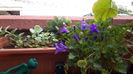 20160508_095141