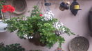 20160506_095057