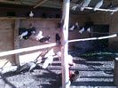 IMG-20160512-WA0001