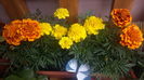 20160506_095024