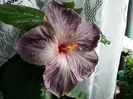 20160512_155831
