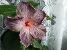 20160512_135917
