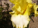 P1260248