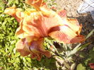 P1260252