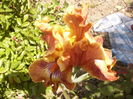 P1260253