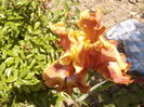 P1260254