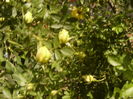 P1260258