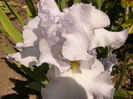 P1260259