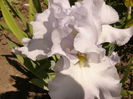 P1260260
