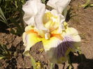 P1260263