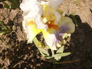P1260264