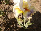 P1260265