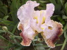 P1260290