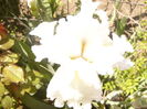 P1260313