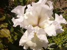 P1260314
