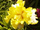 P1260315
