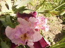 P1260325