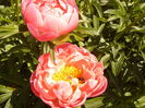 P1260329