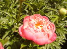 P1260330