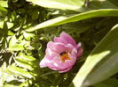P1260331