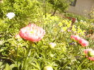 P1260333