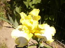 P1260336