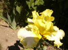 P1260337