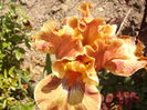 P1260340