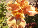 P1260341