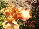 P1260342
