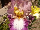 P1260344