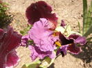 P1260351