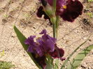 P1260352