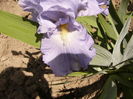 P1260366