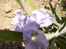 P1260367