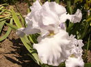 P1260373