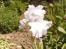P1260380