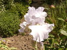 P1260381