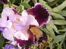 P1260383