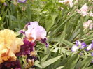 P1260387