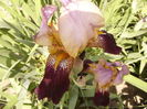 P1260402