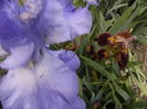 P1260419